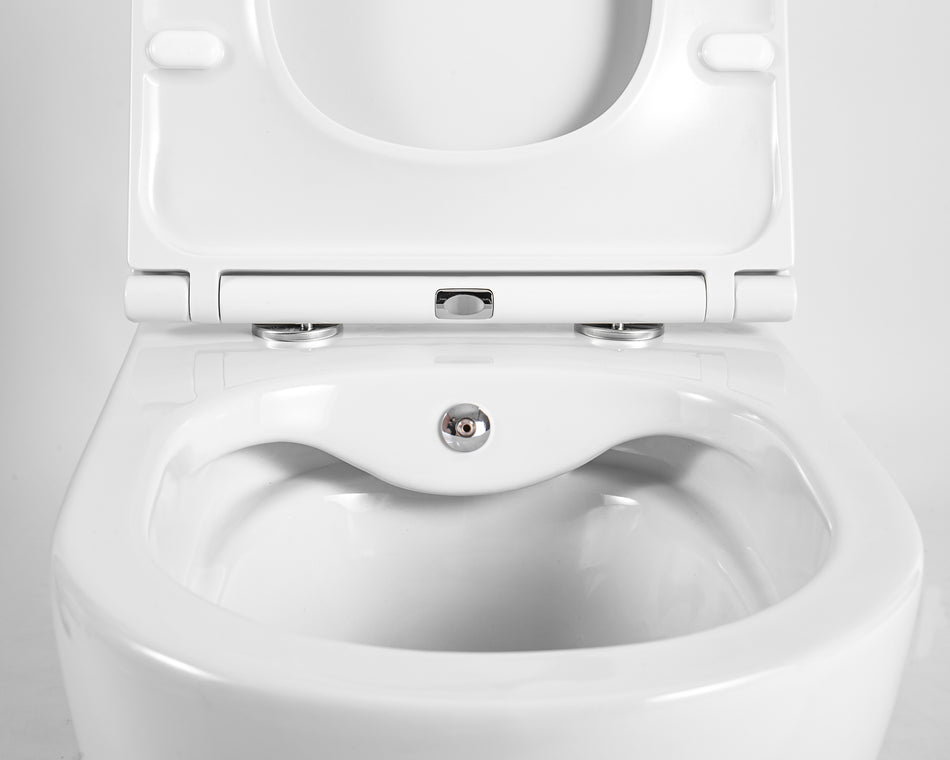WC.2002 Dakota Wandtoilet Randloos met bidetkraan