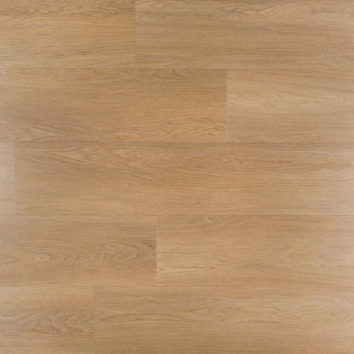 OTIUM Hibiscus plank Dryback