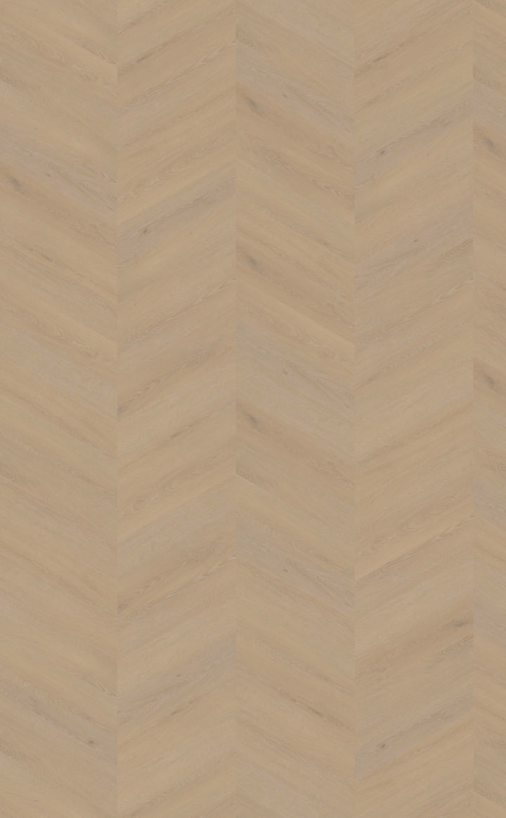 Cervo Hongaarse punt | Weense punt 20