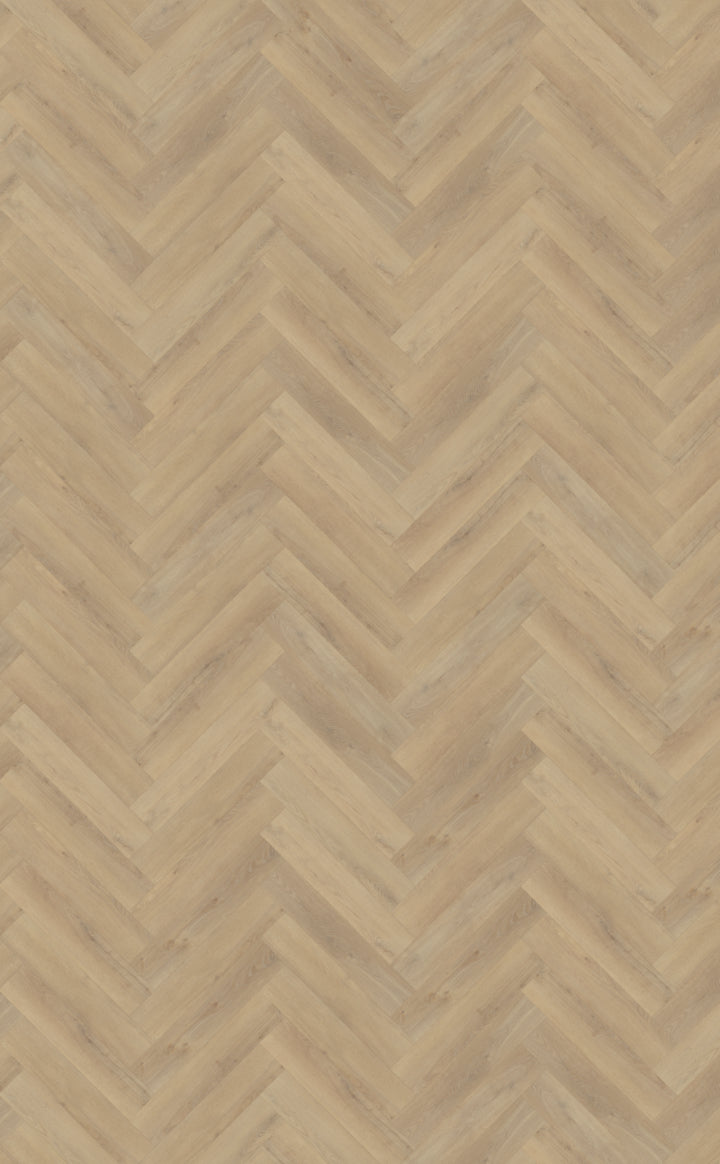 Palazzo visgraat XL 72