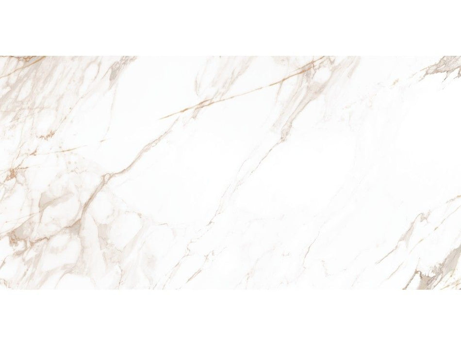 Calacatta Goldie 60x120