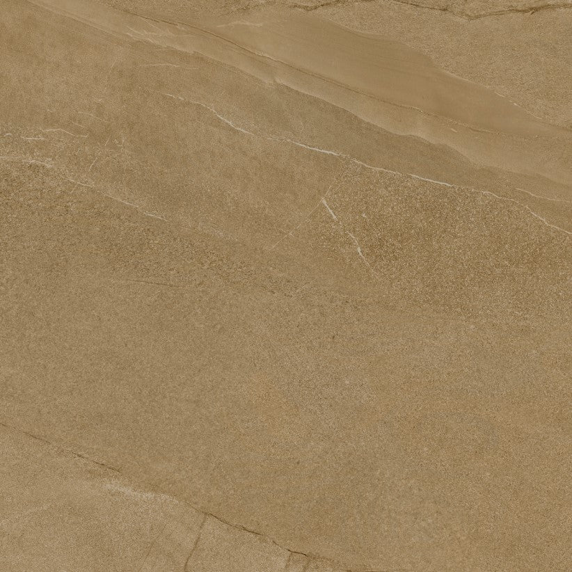 Halley Taupe 20mm 60x60