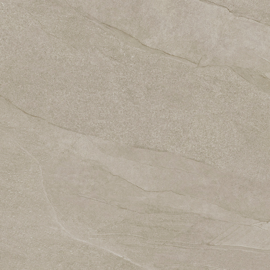 Halley Light 100x100