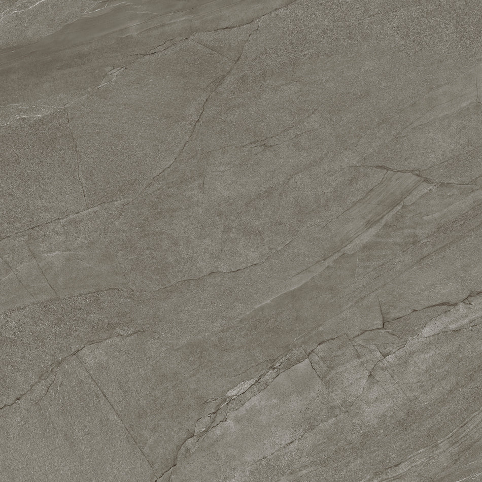 Halley Silver 100x100