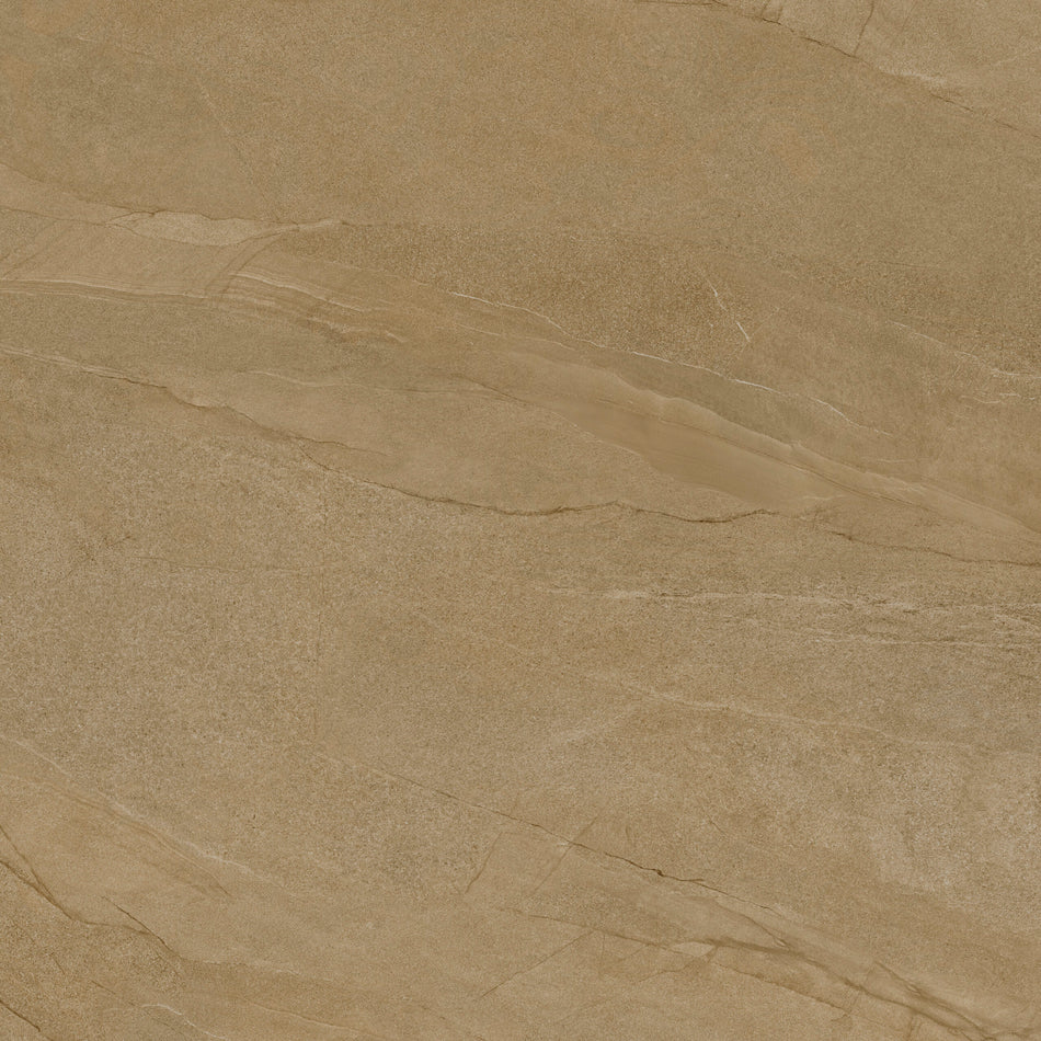 Halley Taupe 100x100