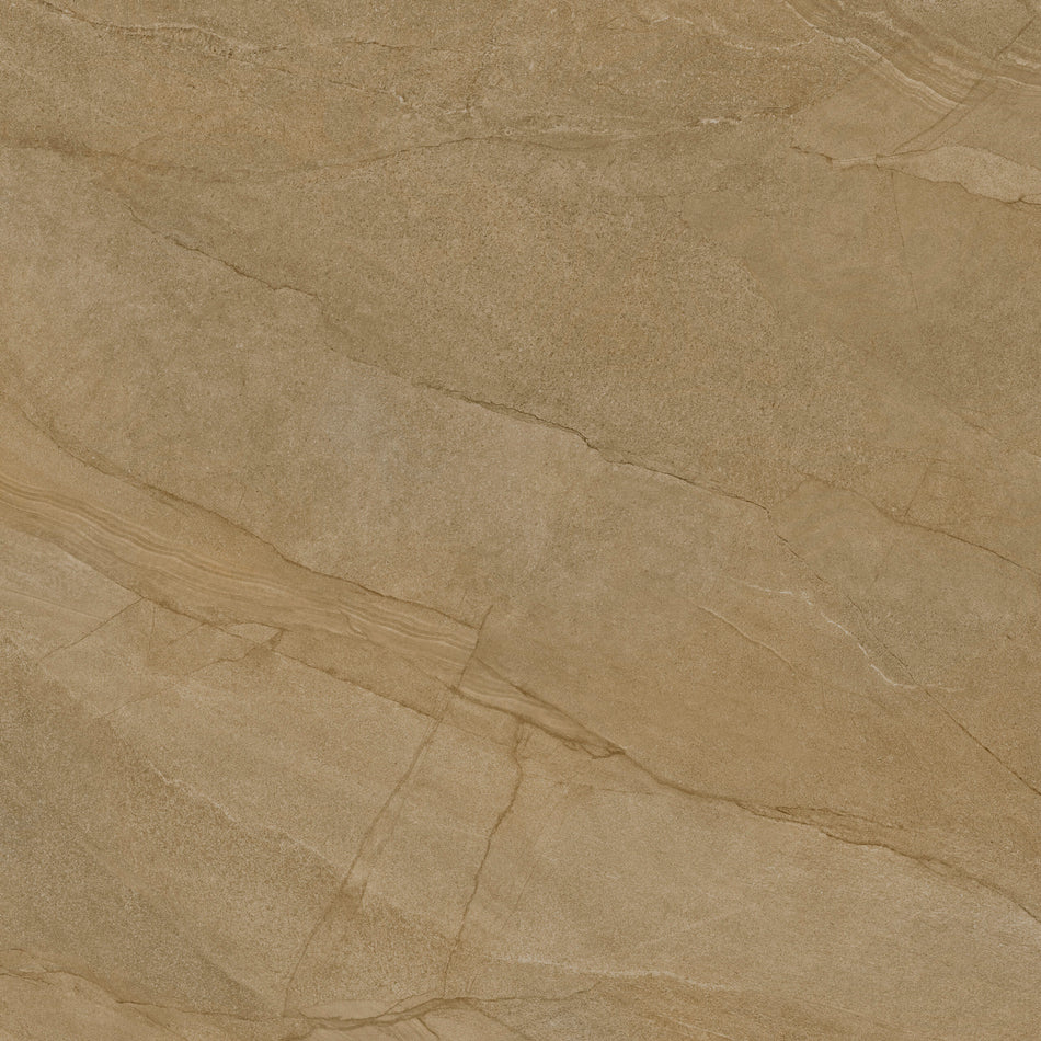 Halley Taupe 100x100