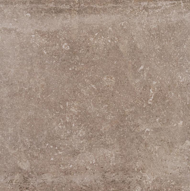 Nickon Taupe 60x60