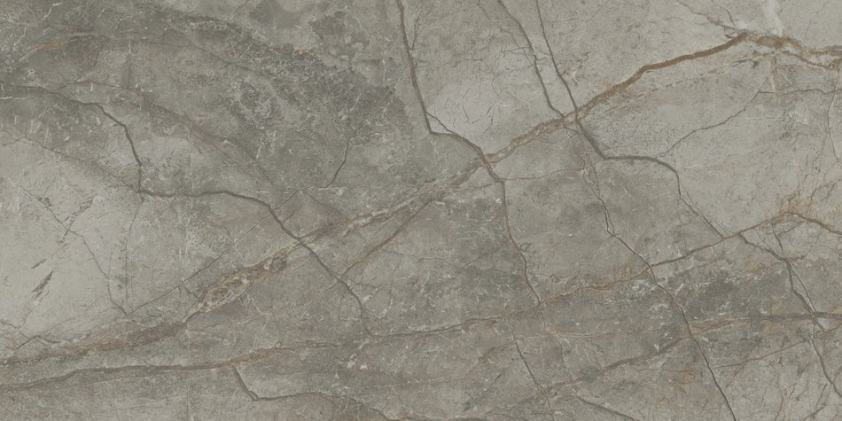 Silver River Dark 60x120