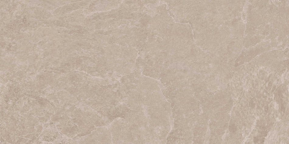 Thunder Light grey 60x120